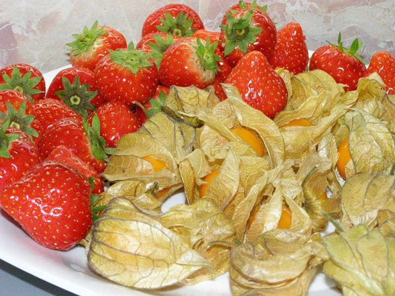 10 Seeds Cossack Pineapple Ground Cherry ORGANIC Cape gooseberry Husk Tomatillo
