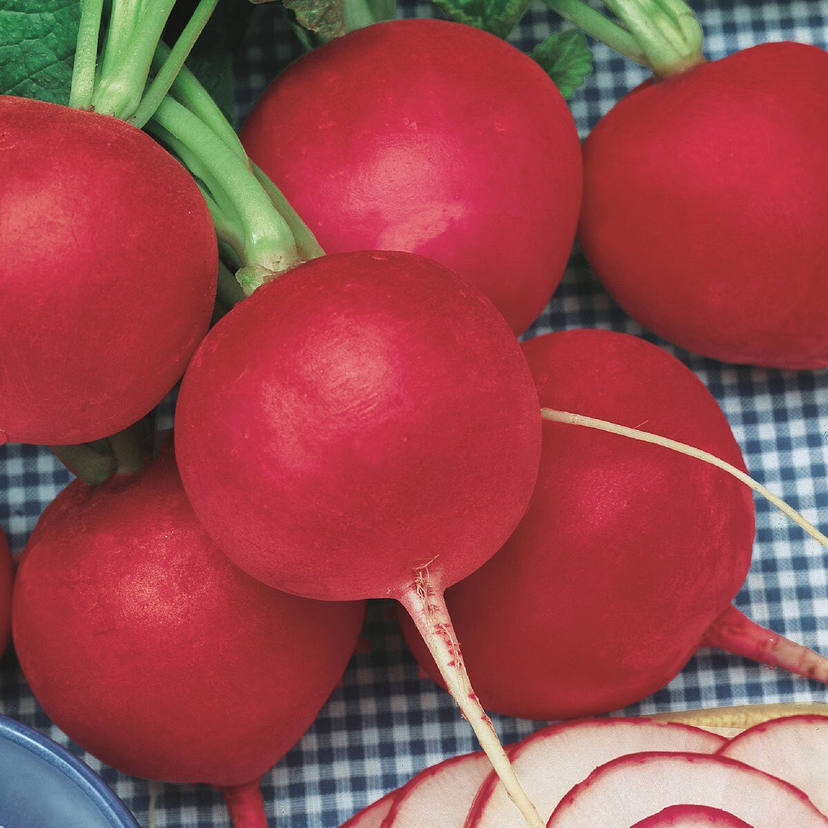 1 Lb Champion Radish Seeds – Everwilde Farms Mylar Seed Packet
