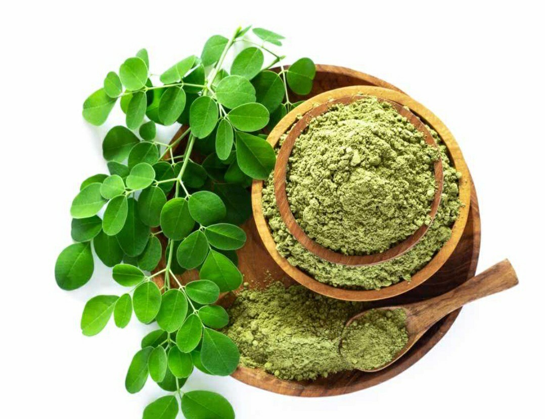 20 Moringa Oleifera Seeds Organic NON GMO For Planting Sprouting Food Superfood