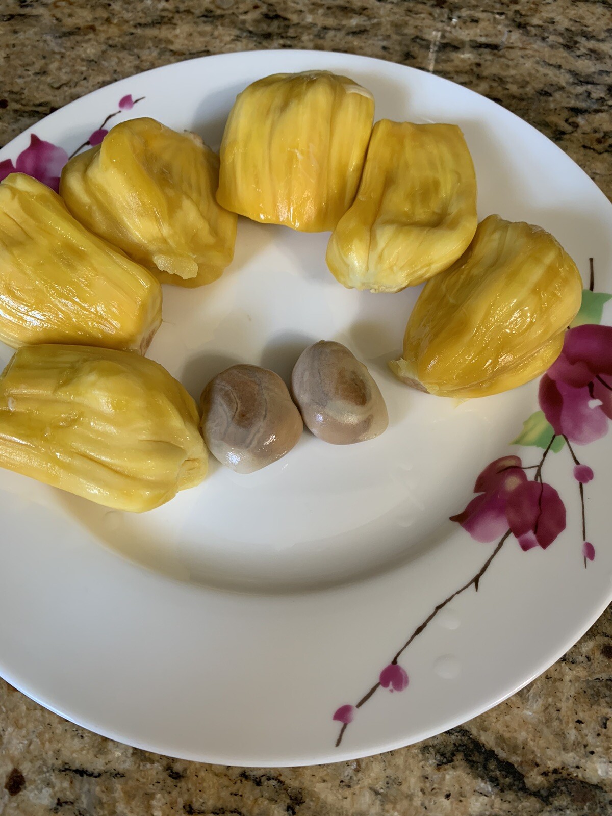8 Fresh Jackfruit SEEDS Tropical GIANT HUGE Jack Fruit Tree Plant
