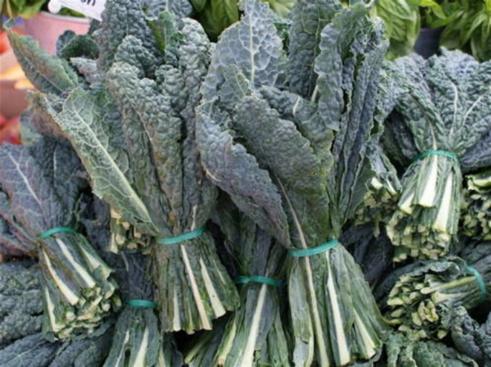 Black (Lacinato, Dinosaur) Kale Seeds- 400+ 2021 Seeds