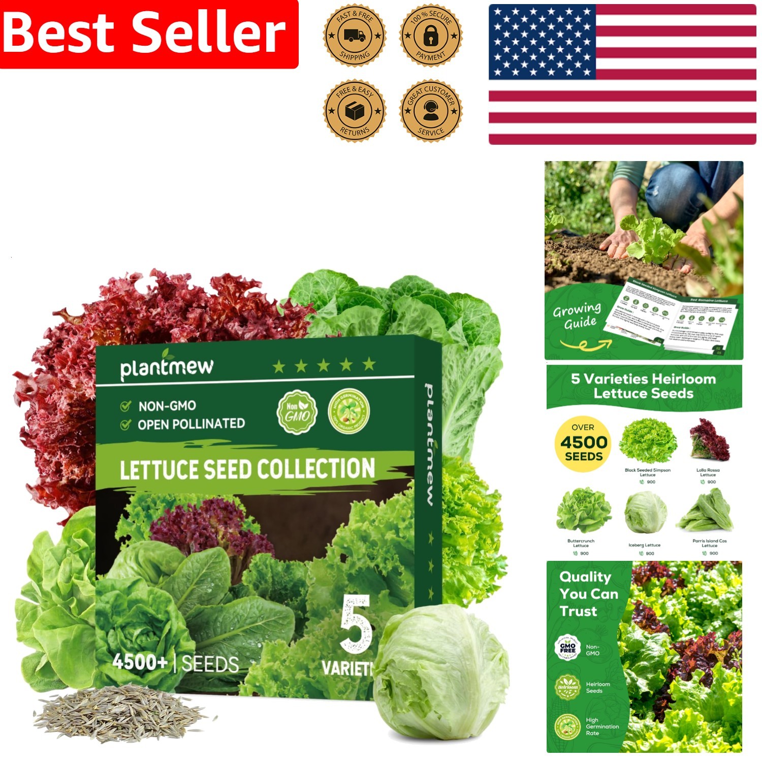 Fresh Lettuce Seeds 5 Variety Heirloom Non-GMO Fast Growth Hydroponic Garden Kit