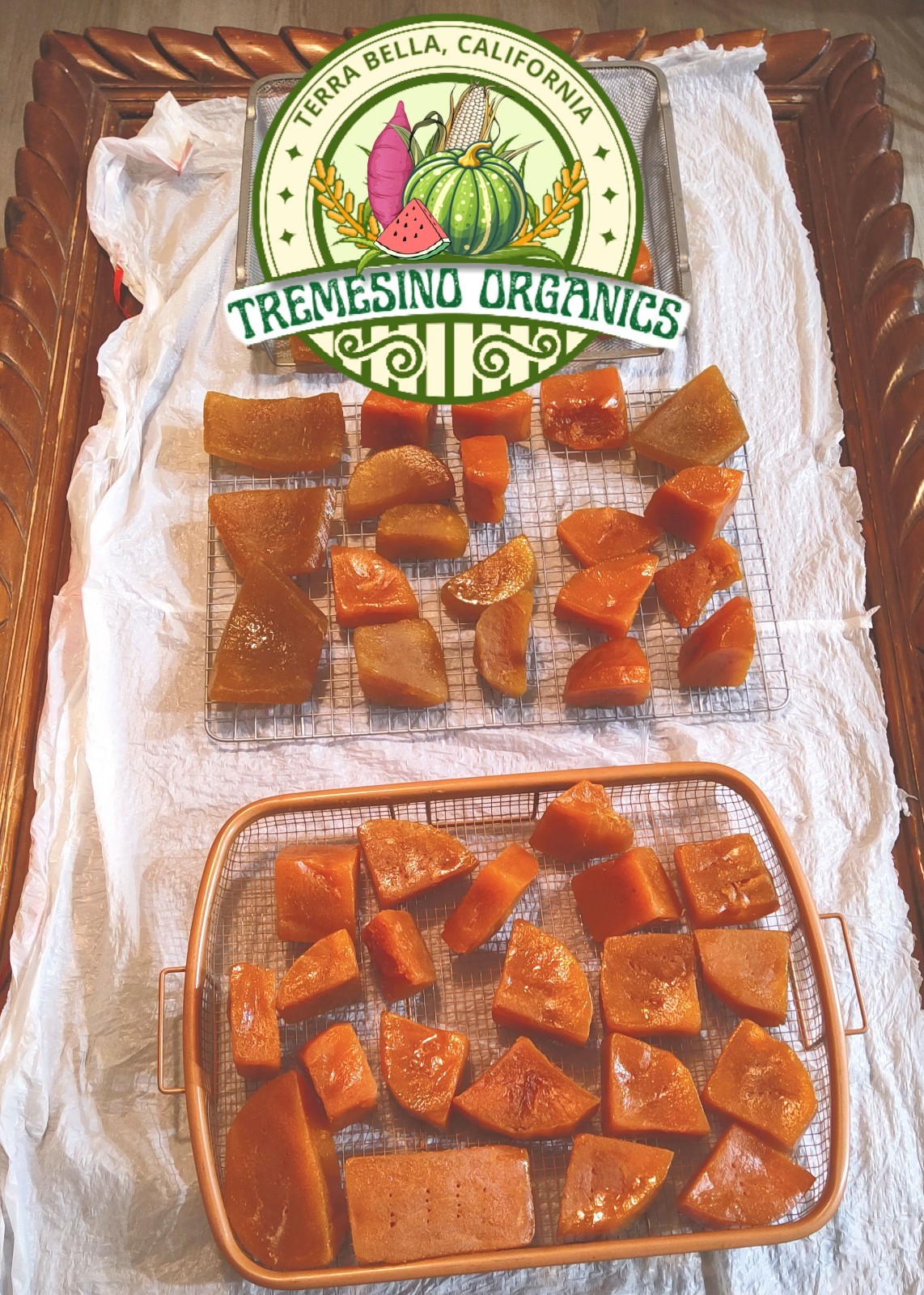 Rare Tropical Long Squash, 15 Seeds- Calabaza Mexicana Para Dulce, 15 Semillas