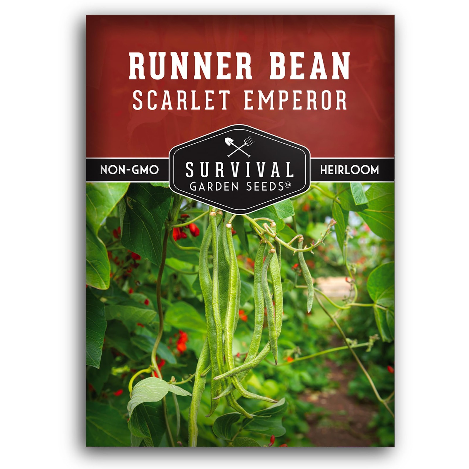 Scarlet Emperor Runner Bean Seeds for Planting – 1 Packet with Instructions t…