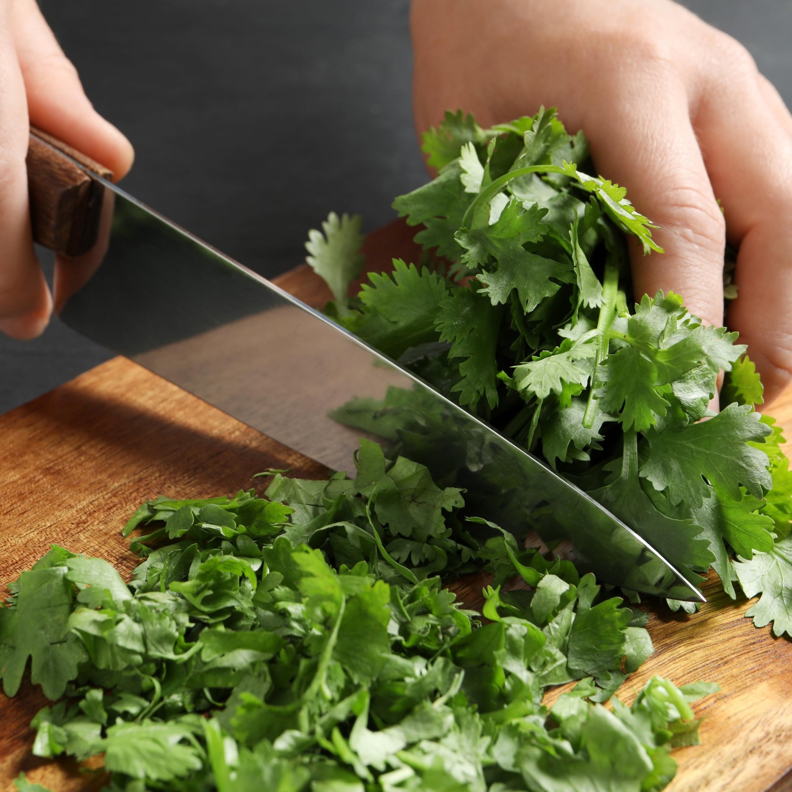 Cilantro Seeds for Planting Herb Seed | 3,500+ Non GMO Heirloom & Untreated S…