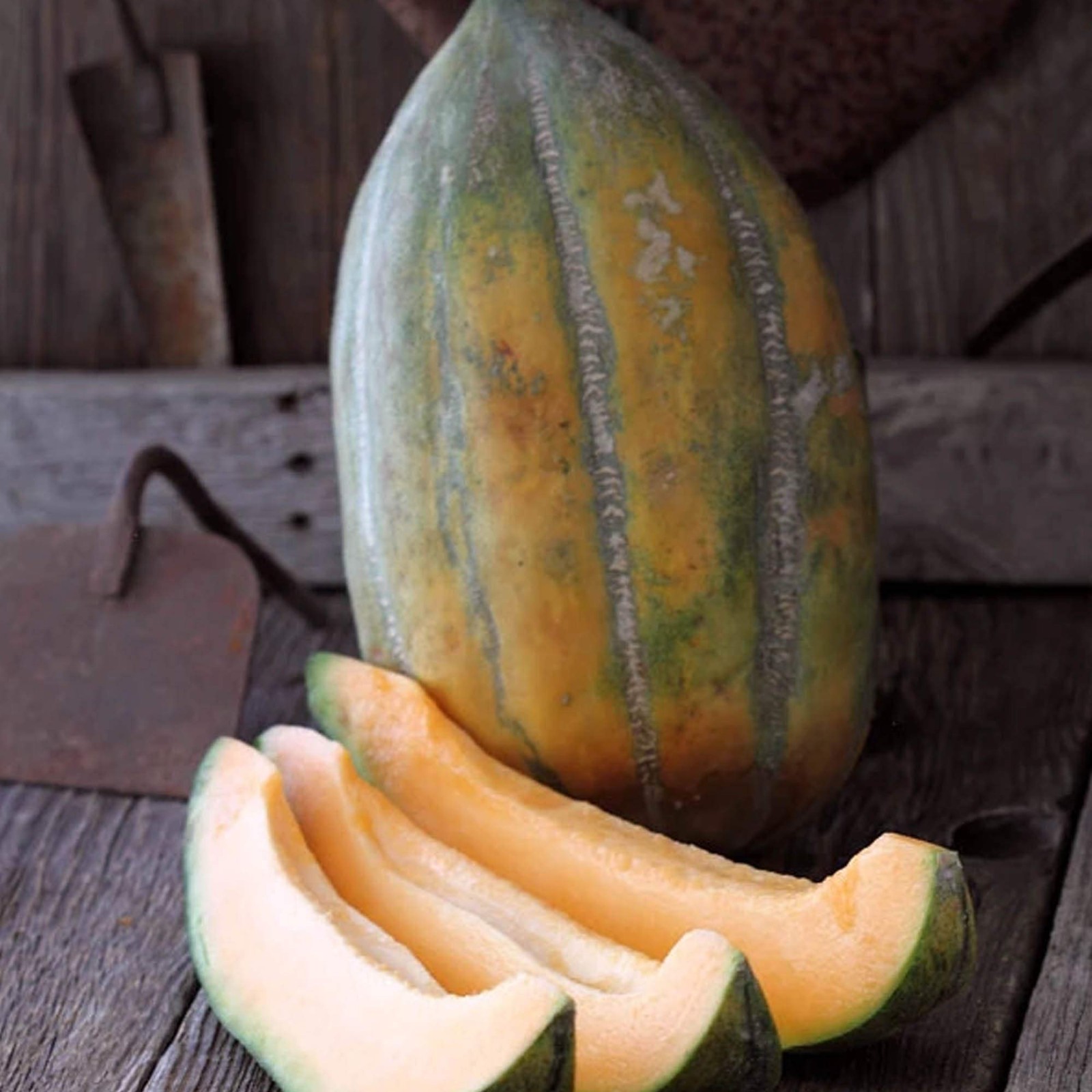 50 Heirloom HUGE Bidwell Casaba Melon Seeds – Up to 15lbs Of Sweetness!