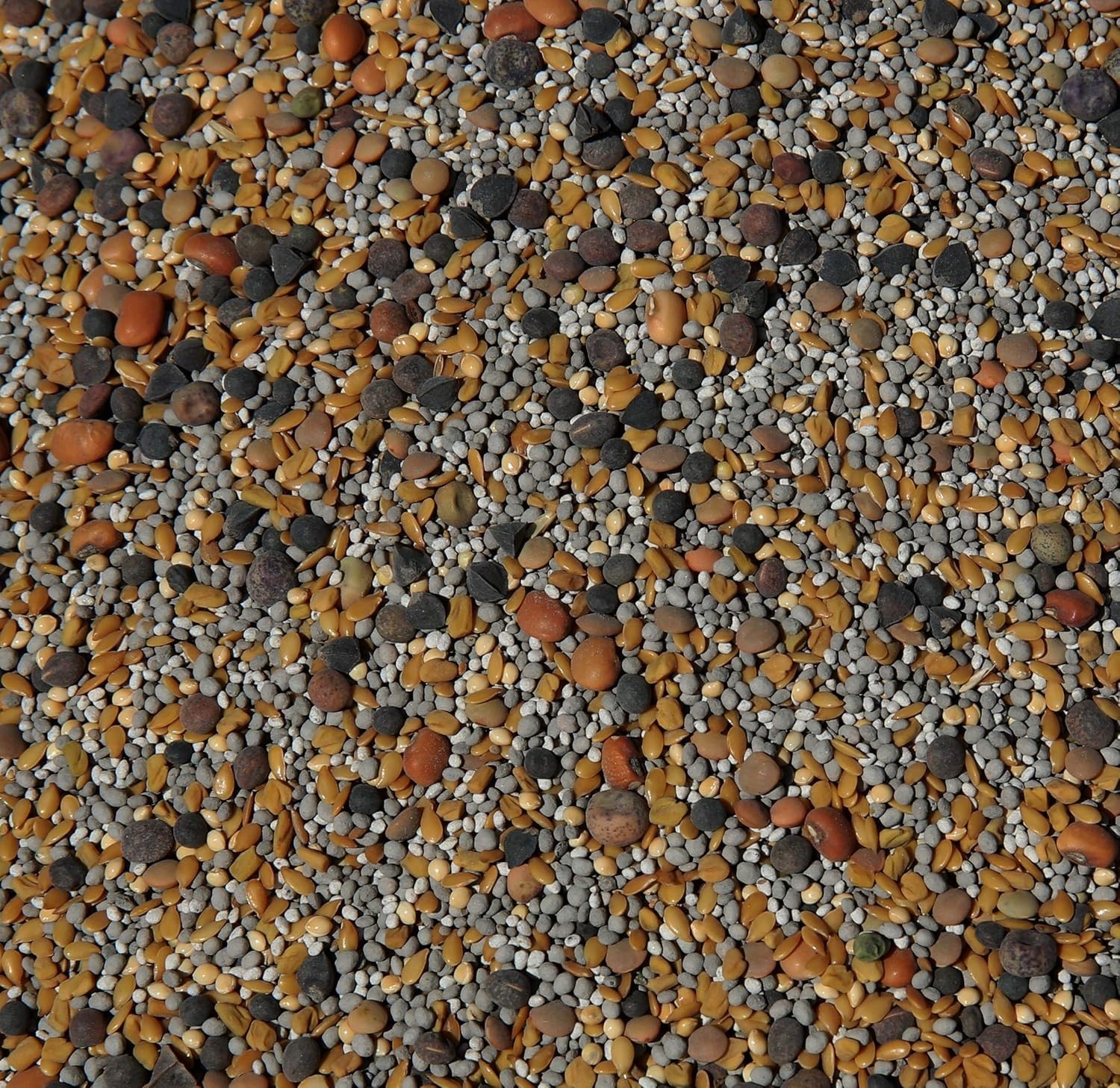 Natural No-Till ½-lb Seed Mix – Foster Beneficial Mycorrhizal Fungi Growth
