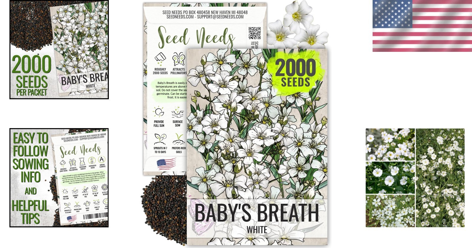 Open Pollinated White Baby’s Breath Seeds – 2000 Count for Floral Beauty