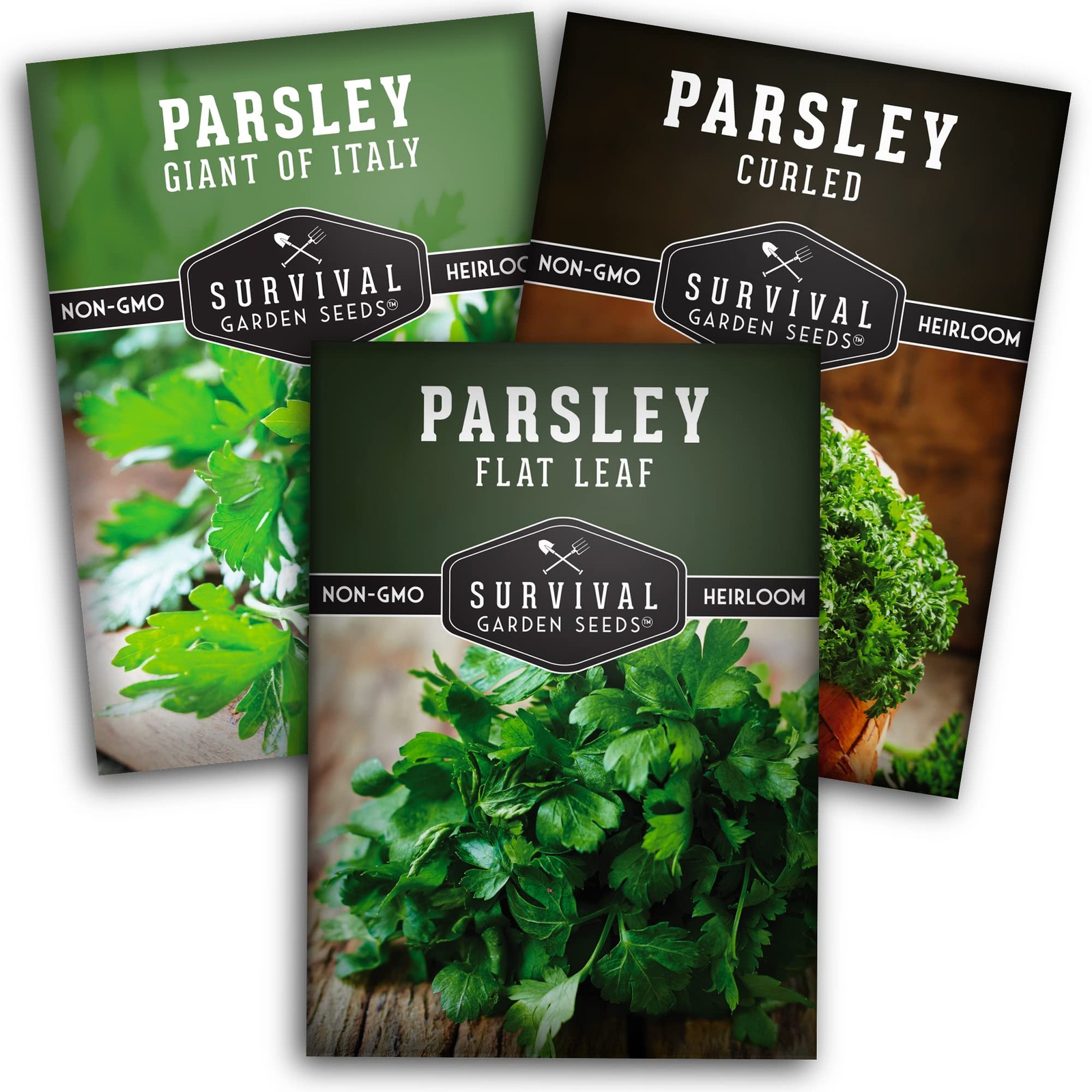 Parsley Seed Collection – 3 Varieties Italian Giant, Curly, Flat Leaf Parsley…