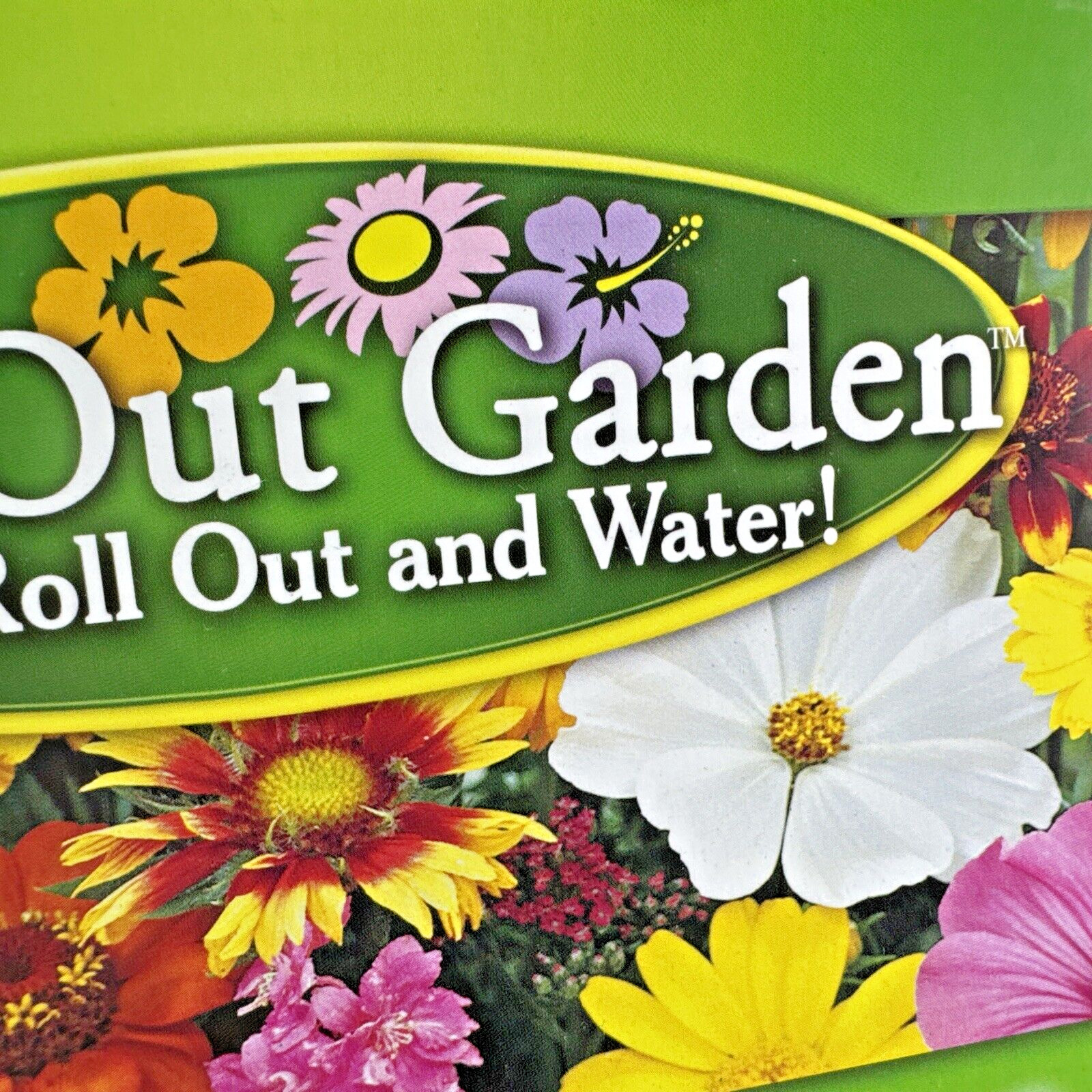 NEW 2Pk Roll Out Flowers Annuals MARIGOLD Garden GROWS 6″ -24″ T Full Sun