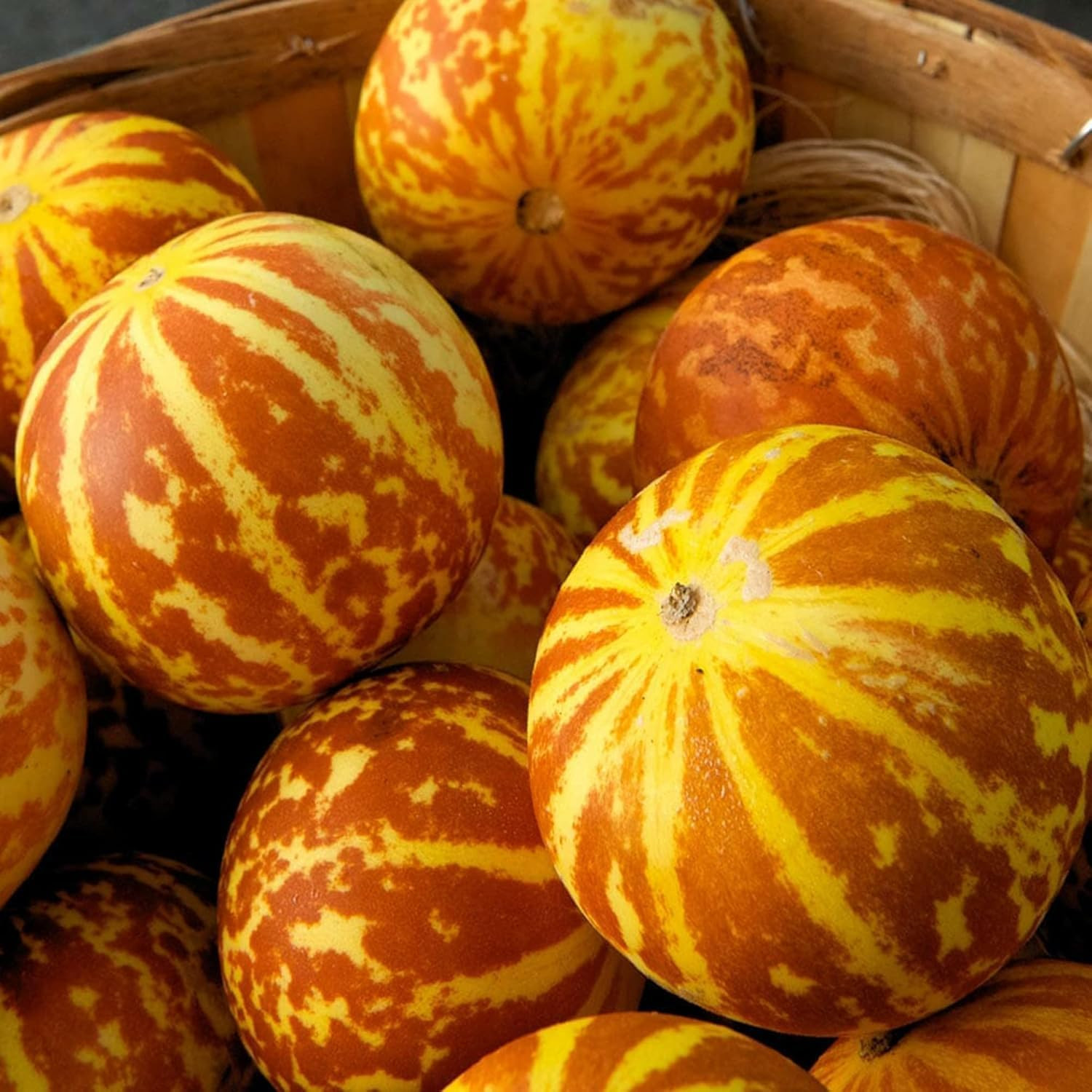 30Pcs Tigger Melon Seeds – Heirloom Striped Melons with Juicy Sweet White Flesh
