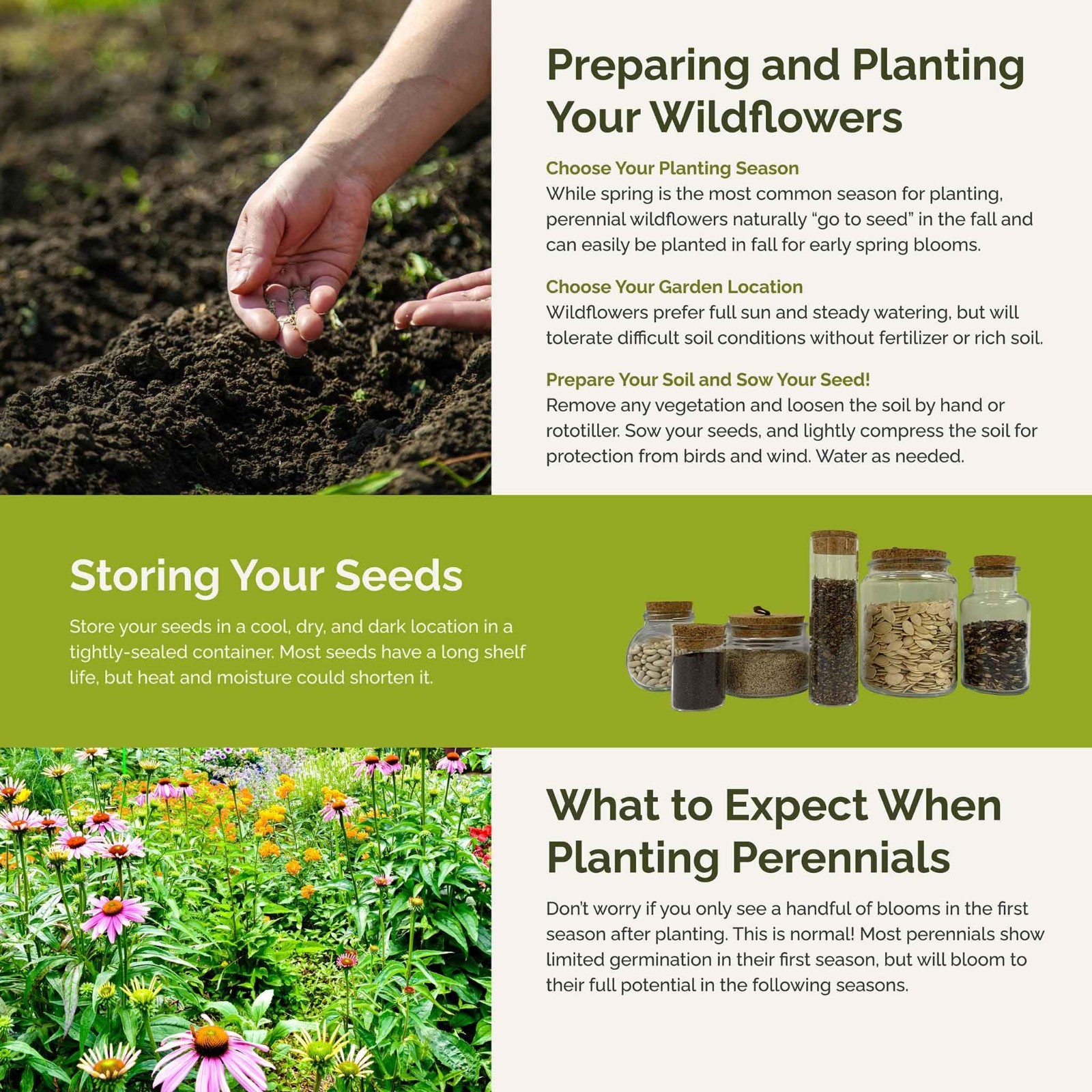 Perennial Wildflower Seed Mix – 120,000+ Seeds for Planting, Attracts Pollinator