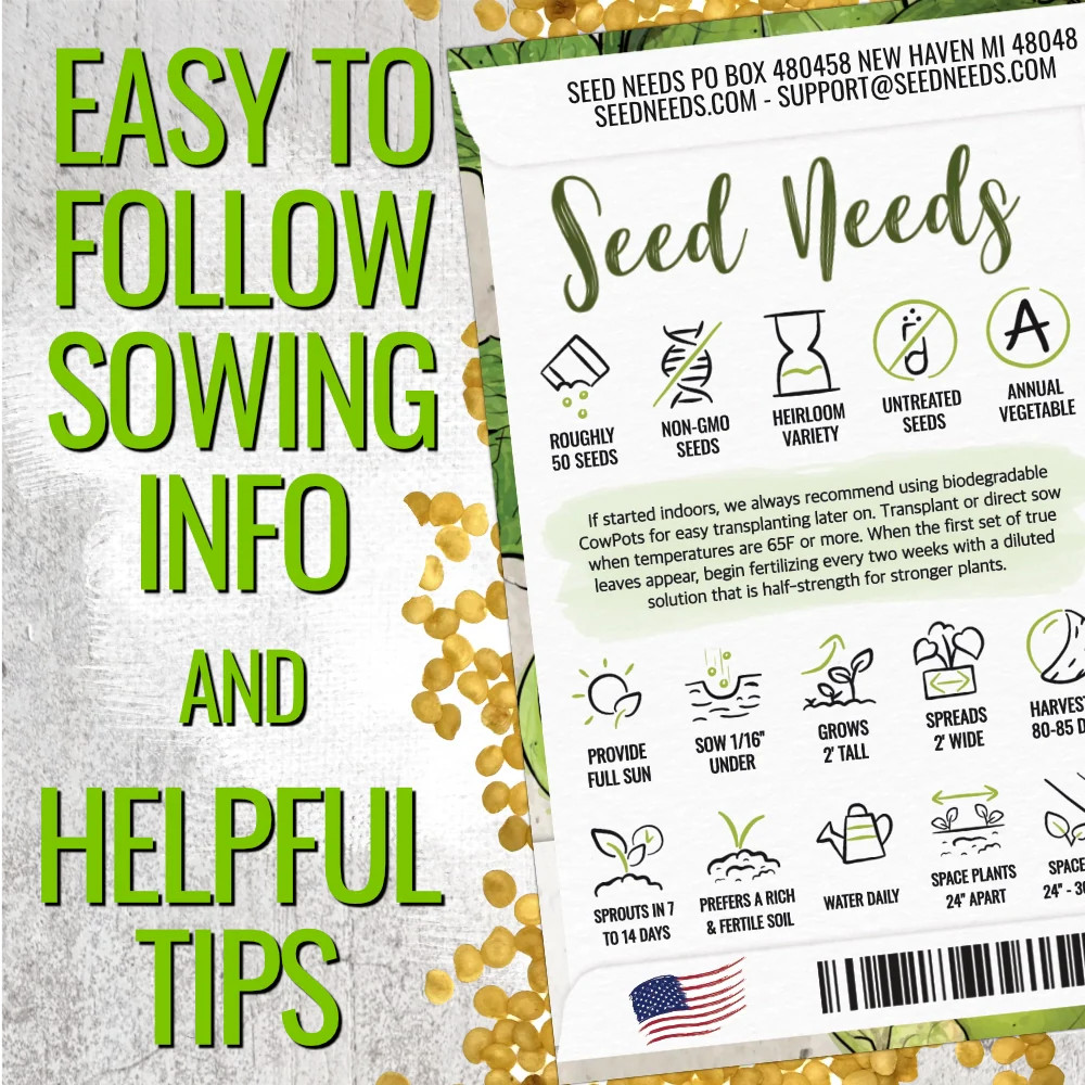 Grande Rio Verde Tomatillo Seeds For Planting (Physalis ixocarpa)