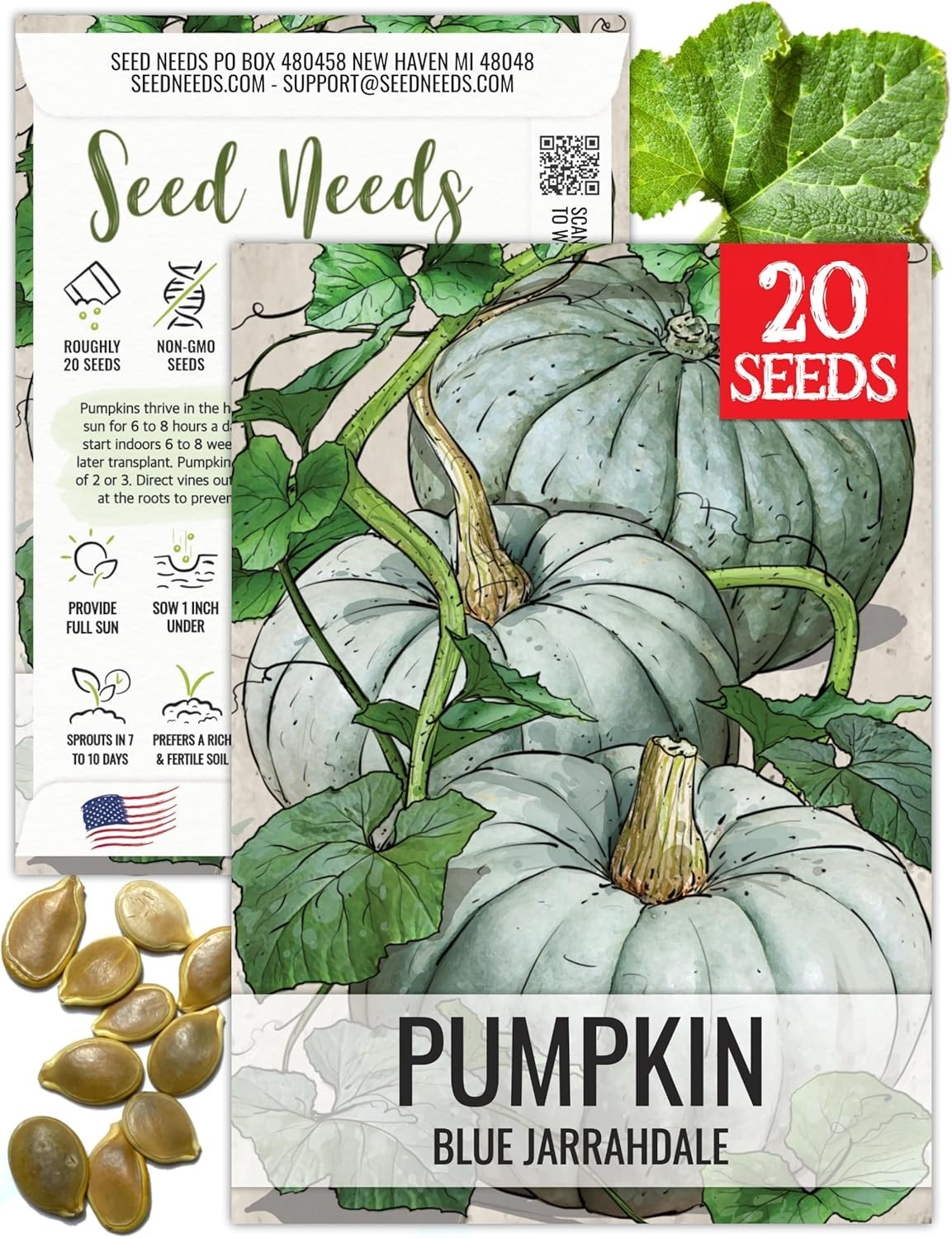 Plant 20 Heirloom Blue Jarrahdale Pumpkin Seeds – Non-GMO for Generous Harvests