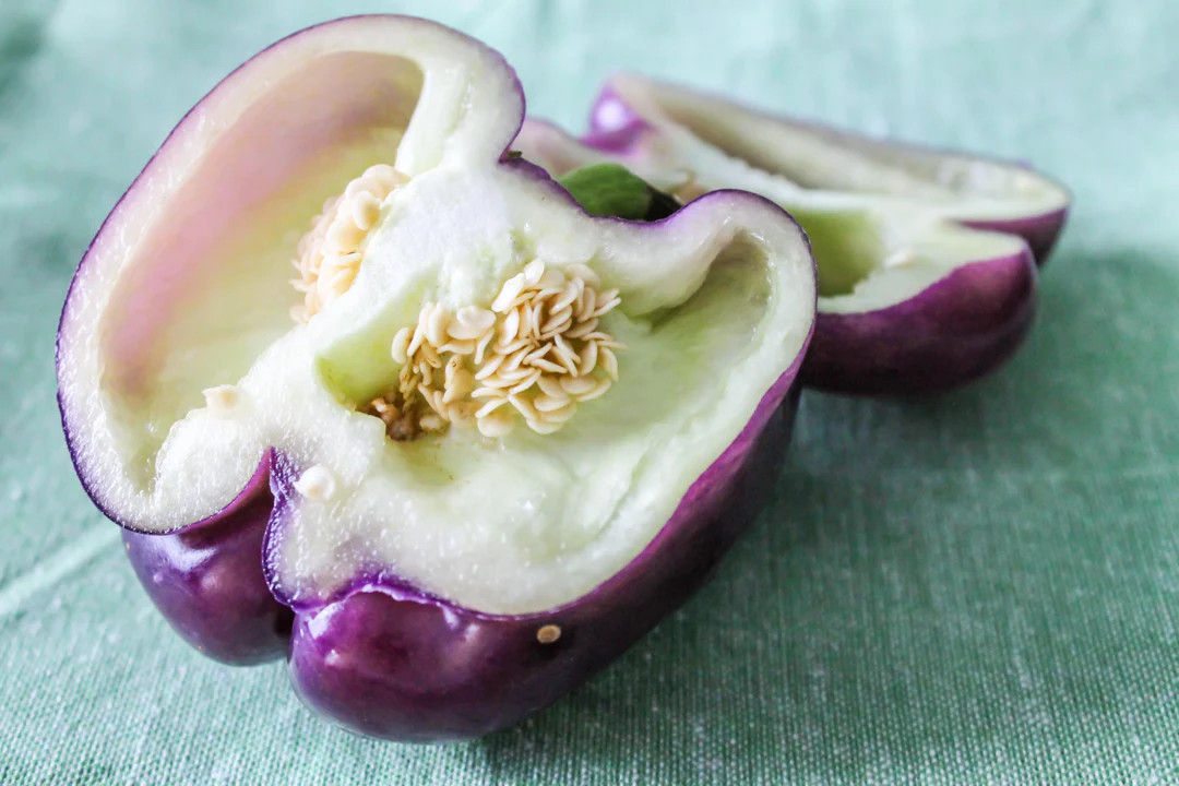 Purple Beauty Sweet Bell Pepper Seeds | Violet Belle Wonder Vegetable Seed 2025