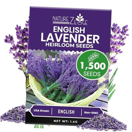 1500 English Lavender Seeds for Planting Outdoors or Indoors, 90% 1 pack