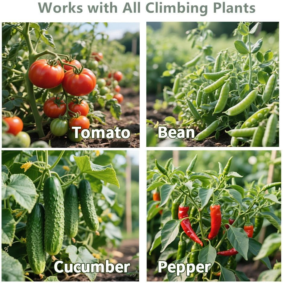 3 Pack Tomato Cages for Garden Plant Support 42″ Stakes Metal Tower for Climbing