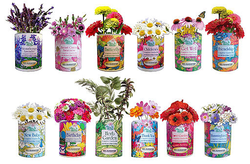 Gifts That Bloom, SAGE Gourmet Herb Garden GroCan Blooms – Gift Grow Can