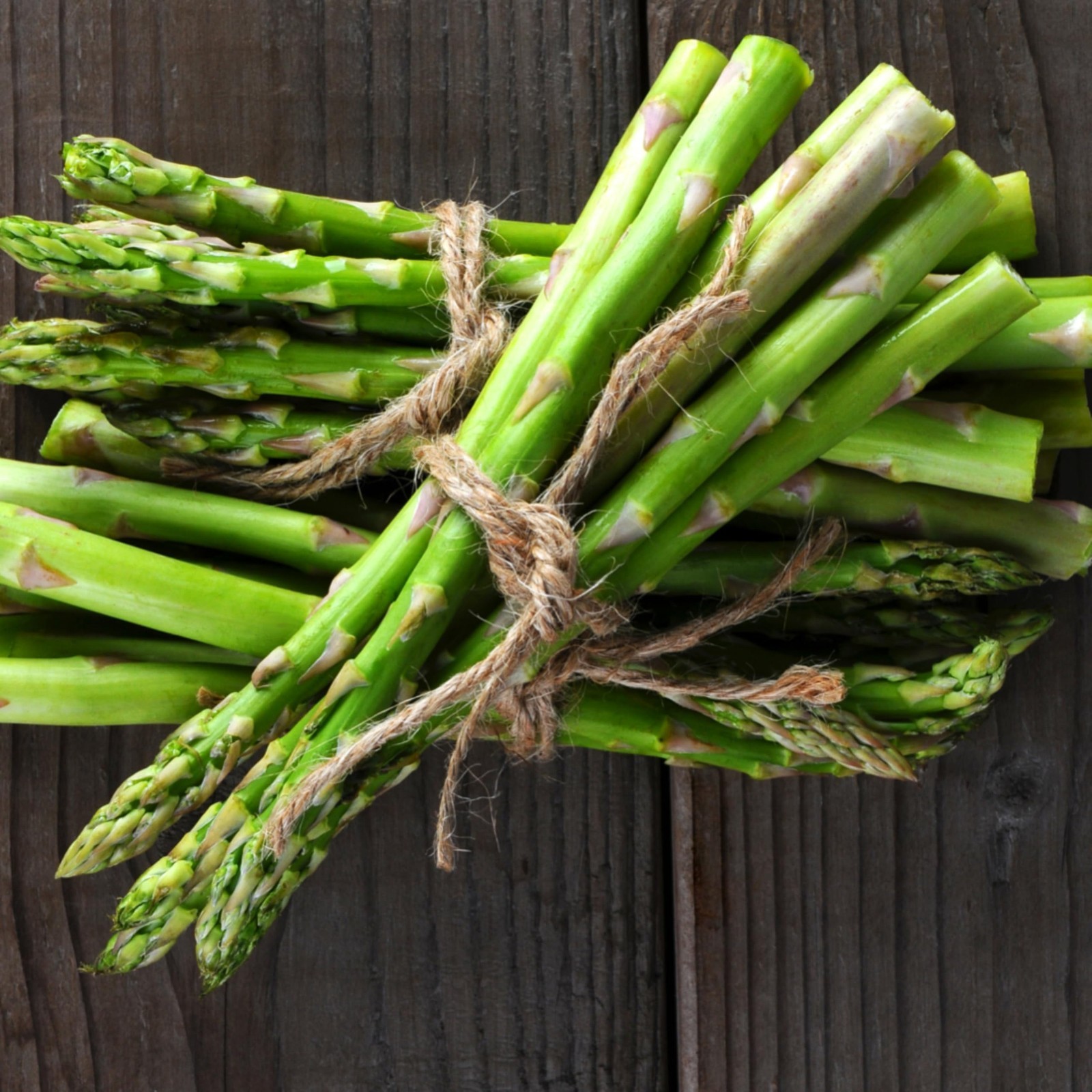 Non-GMO Heirloom Asparagus Seeds – Mary Washington Perennial Vegetable (5 Packs)