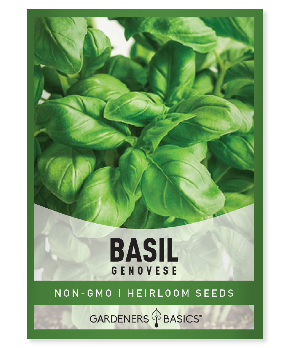 Genovese Basil Seeds