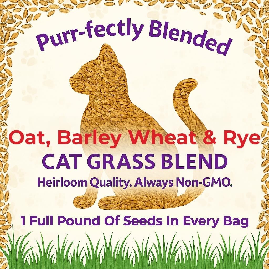 Natural Cat Grass Seeds for Indoor Cats – High Germination Oat, Wheat, Rye