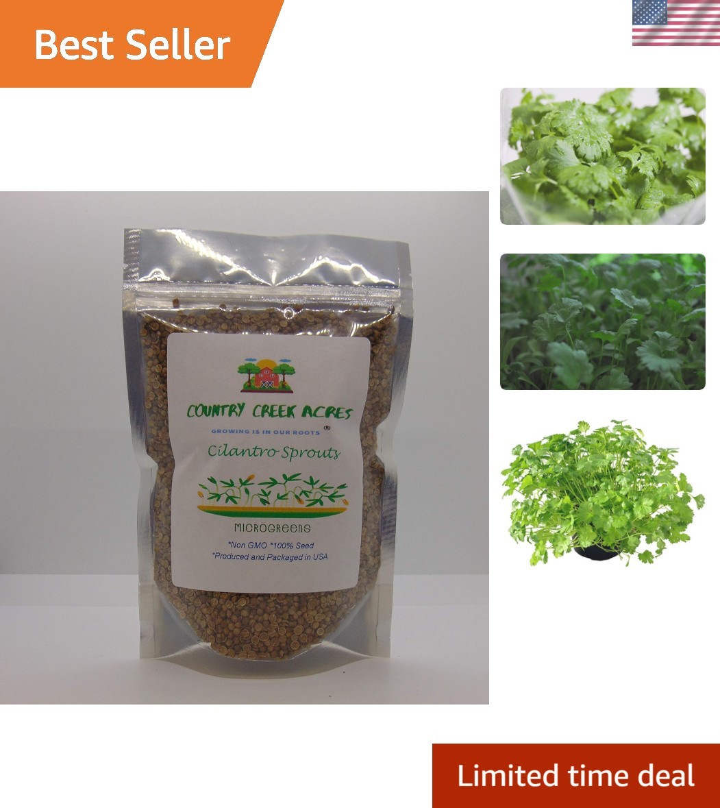 Fresh Cilantro Microgreens – 4 OZ Non-GMO Seeds for Juicing & Indoor Gardening