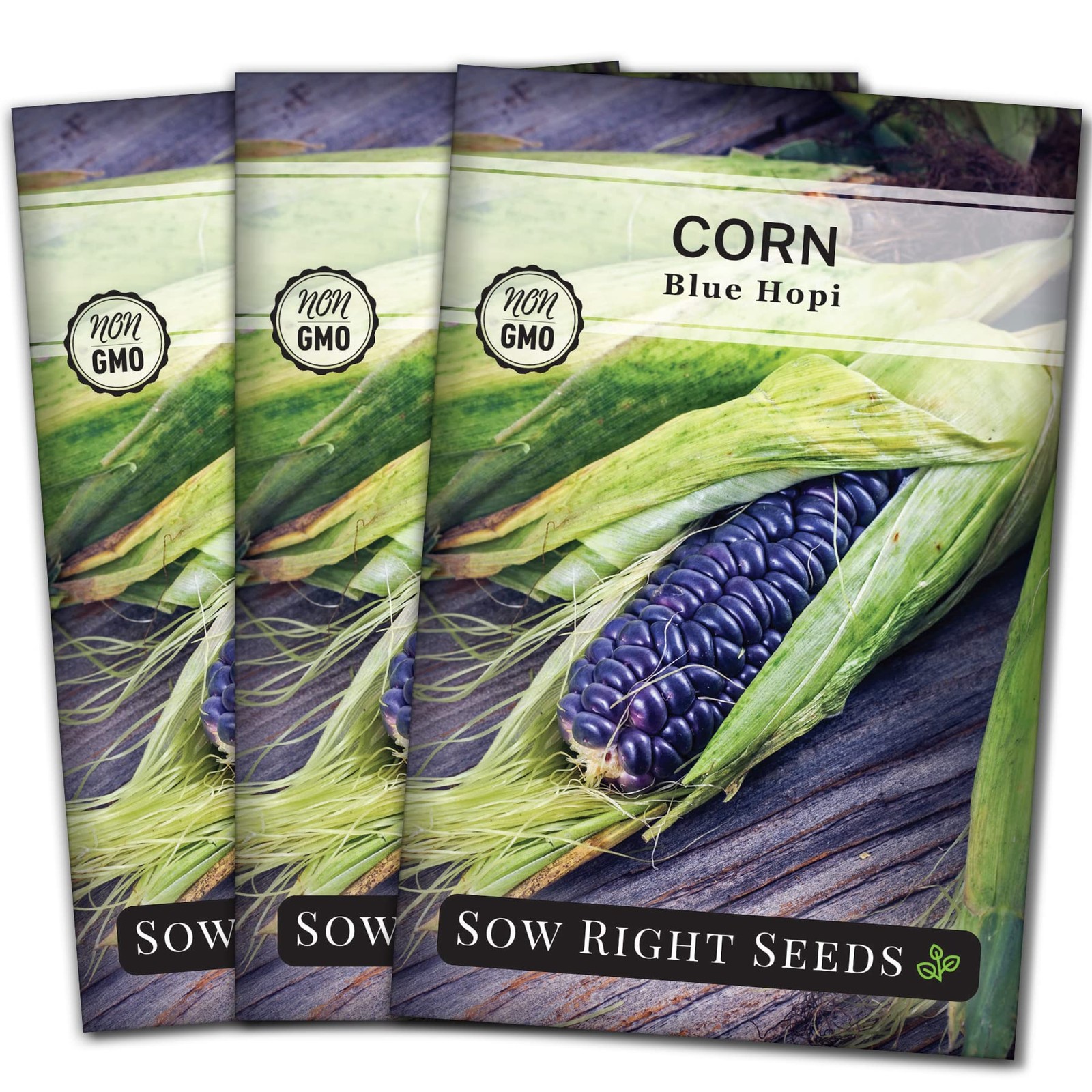 Blue Hopi Corn Seed for Planting NonGMO Heirloom Packet with Instructions t…