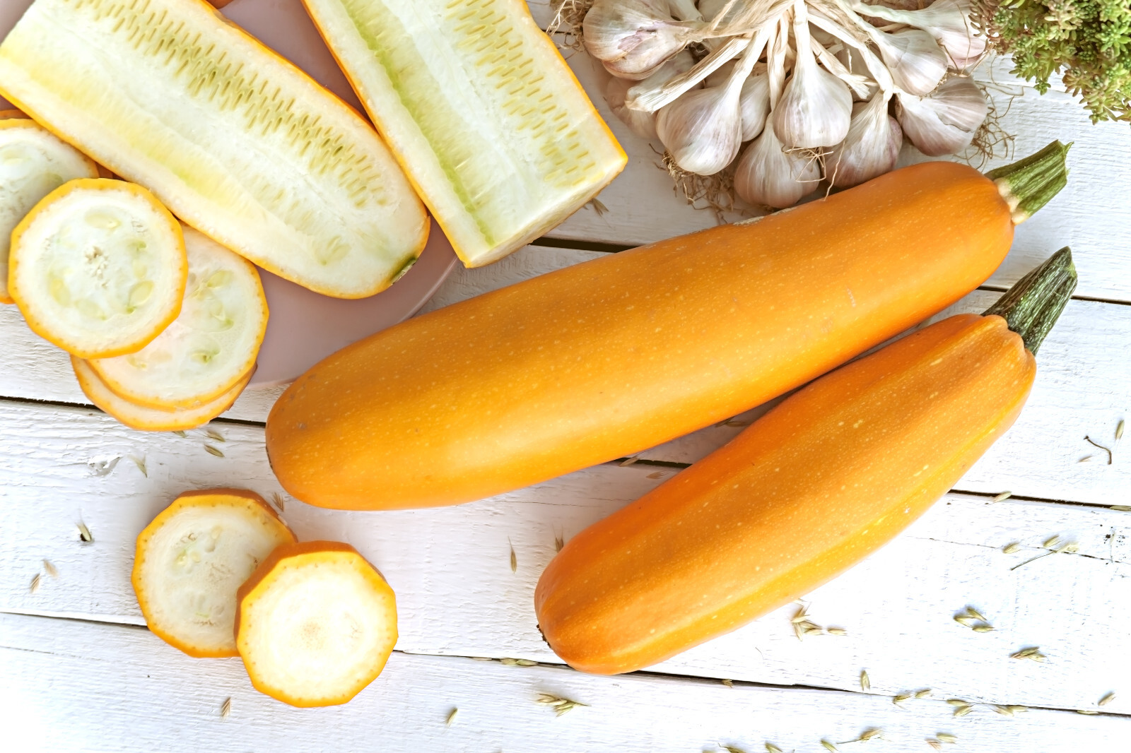 50 GOLDEN ZUCCHINI Heirloom Summer Bush Squash Cucurbita Pepo Yellow Veg Seeds