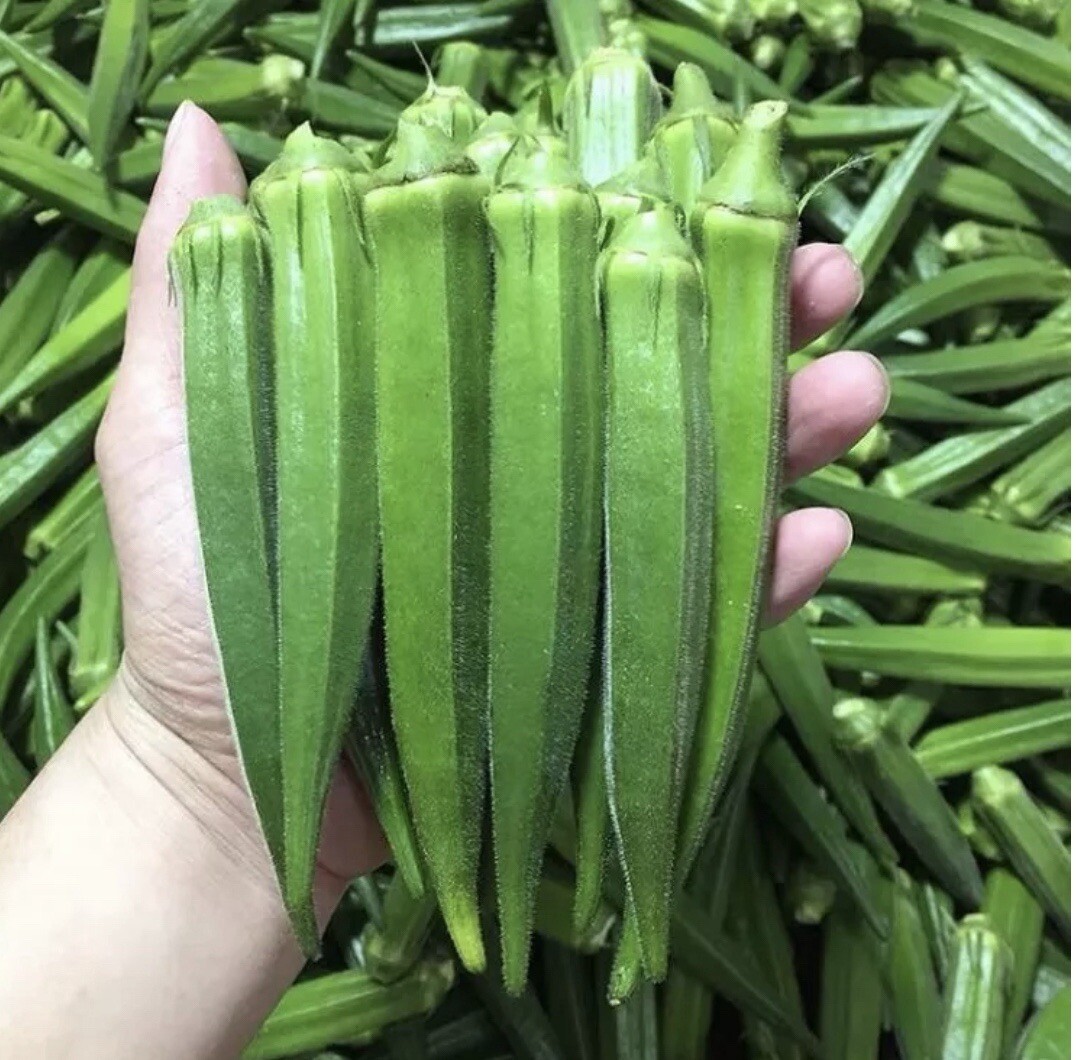 50+ SEEDS- Clemson Spineless Okra Non-GMO Heirloom . Free Green Eggplant Seeds