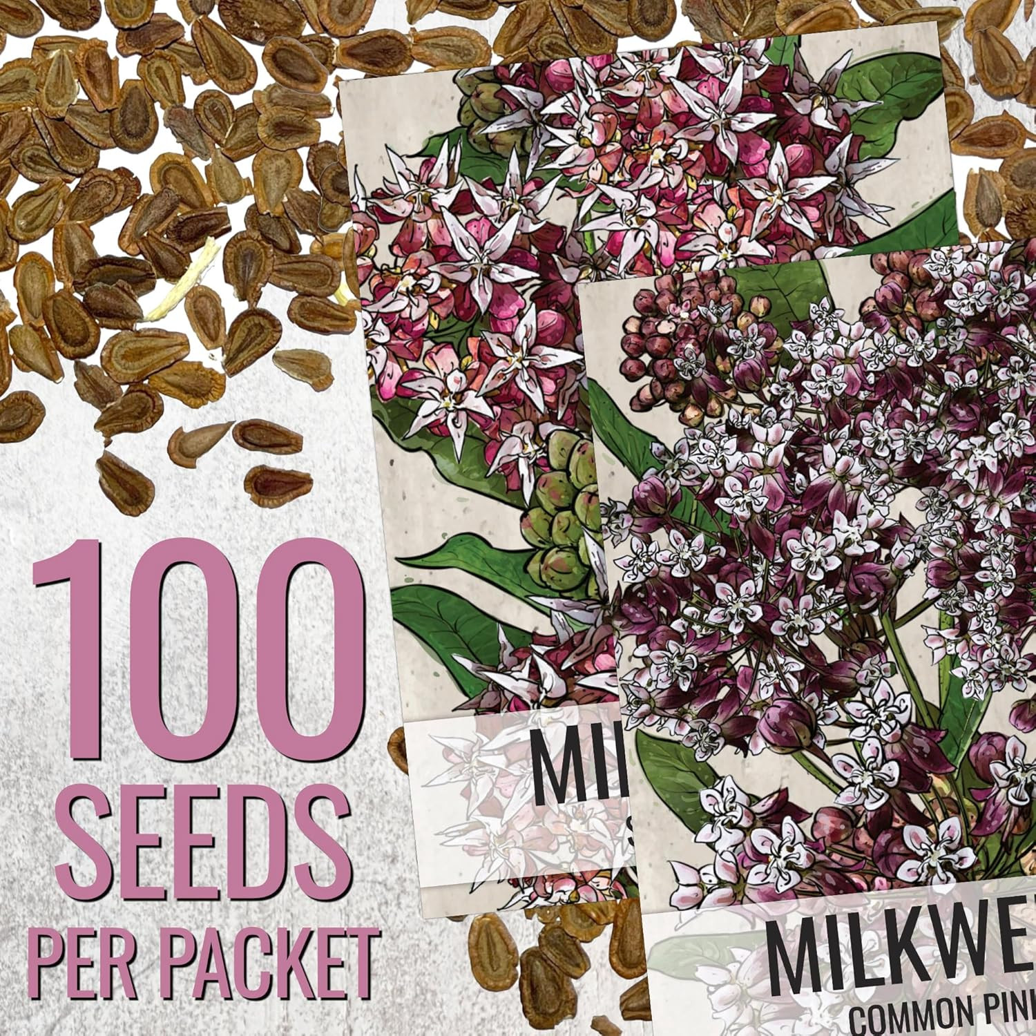 Milkweed Seeds for Planting Showy Pink/Common Pink Asclepias Flowers – Heirloom