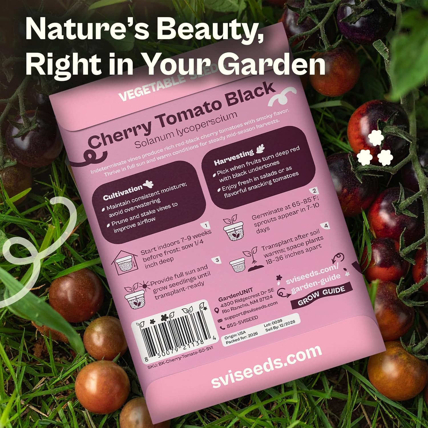 50 Black Cherry Tomato Seeds (Solanum Lycoperscium) – Black Cherry Tomatoes Seed