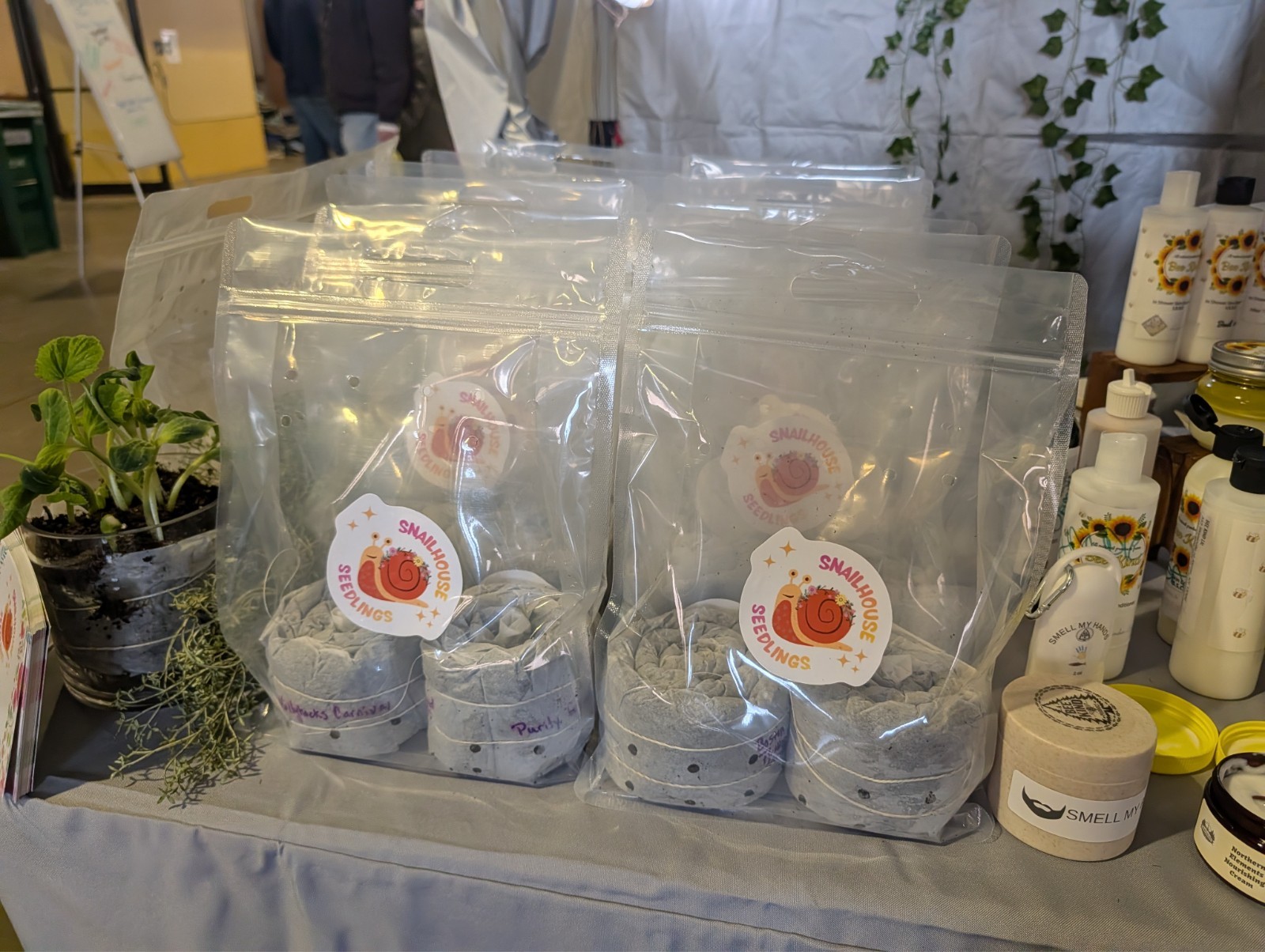 Teddy Bear Sunflowers – SEED SNAIL – Packed with seeds and ready to grow!