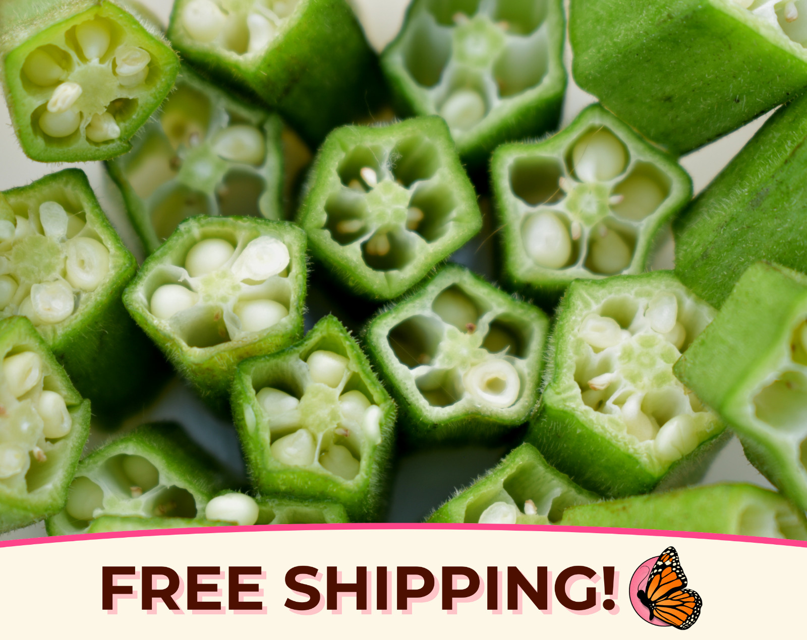 150+ Okra Seeds ‘Clemson Spineless’ | Heirloom, Non-GMO, Vegetable Garden, USA
