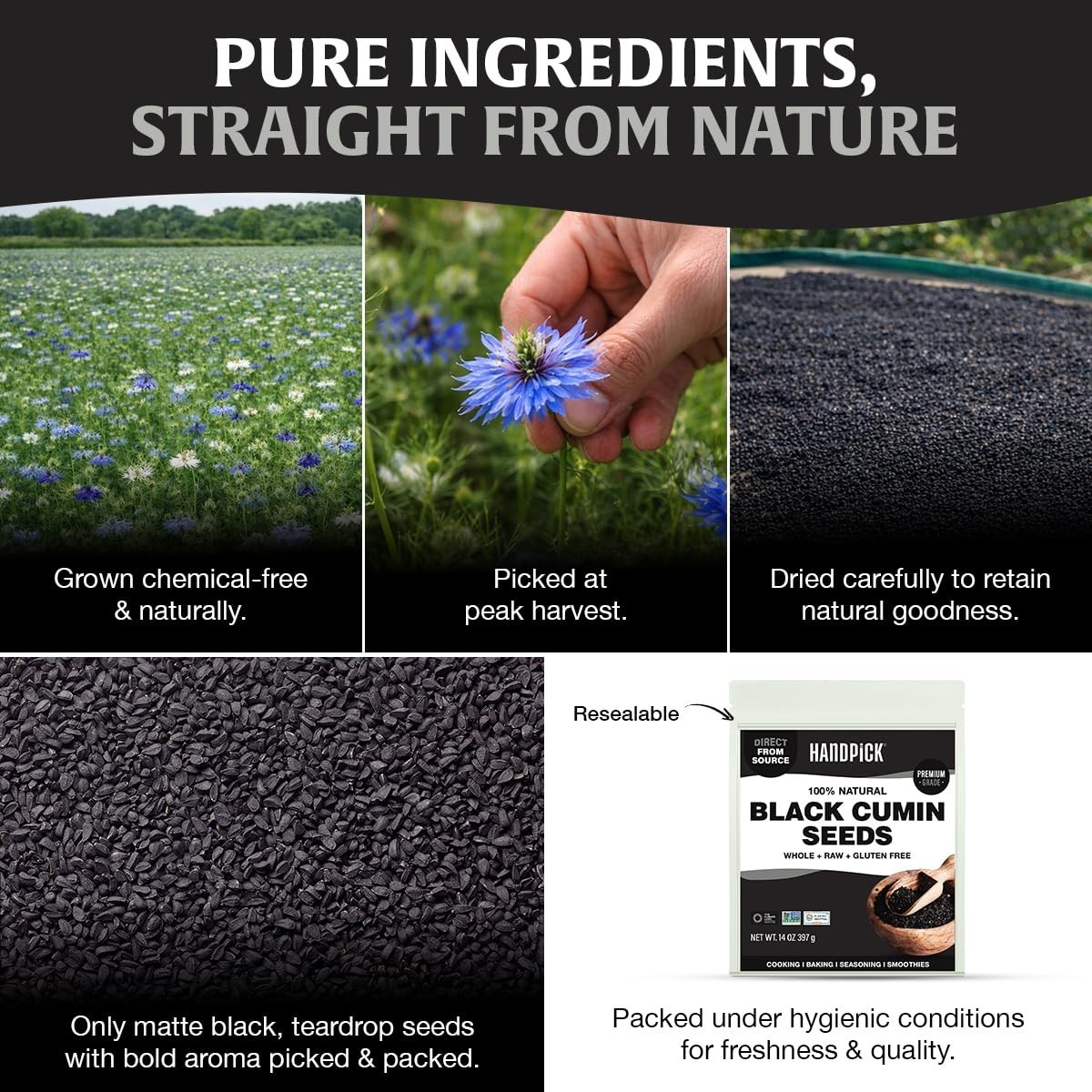 14oz Pure Black Cumin Seeds – Farm Fresh Nigella Sativa, Gluten Free & Non-GMO