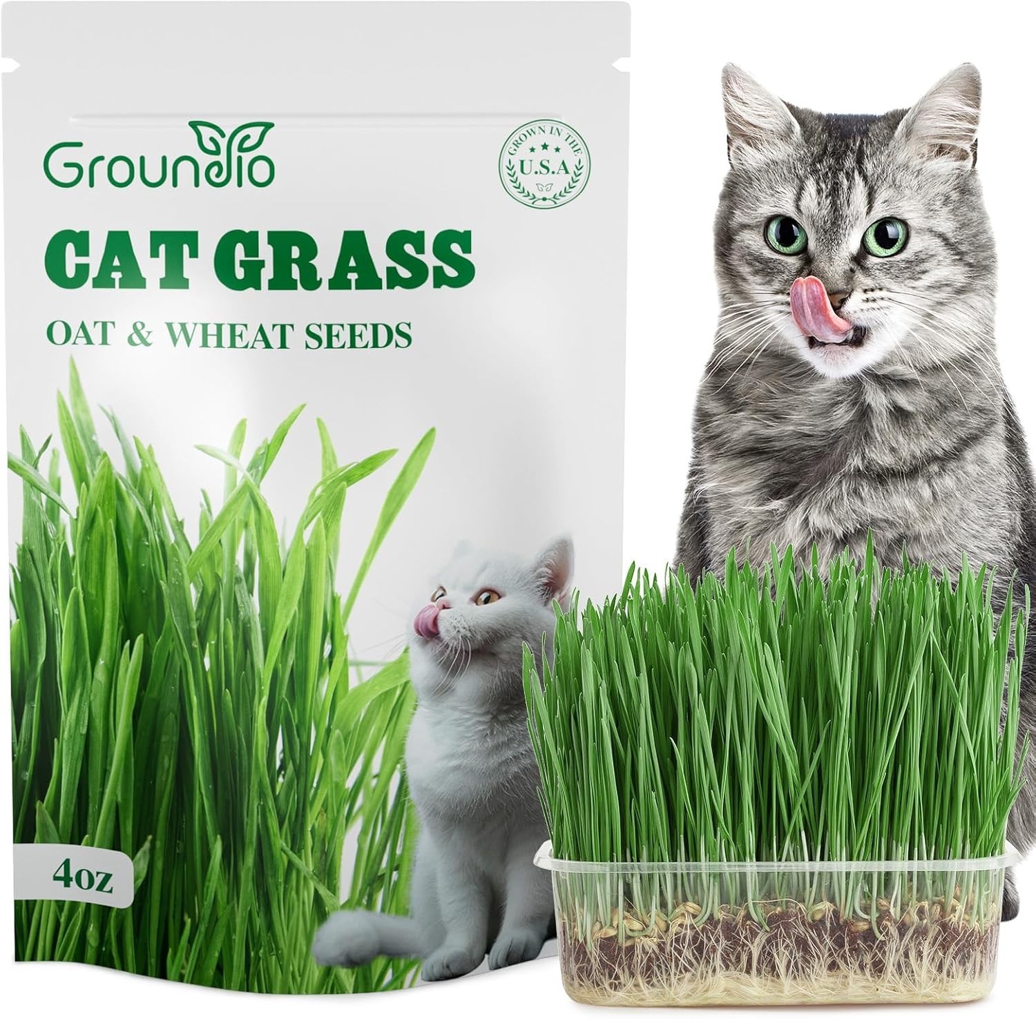 Non-GMO Cat Grass Seeds, 4 Oz Mix for Healthy Indoor & Outdoor Cats