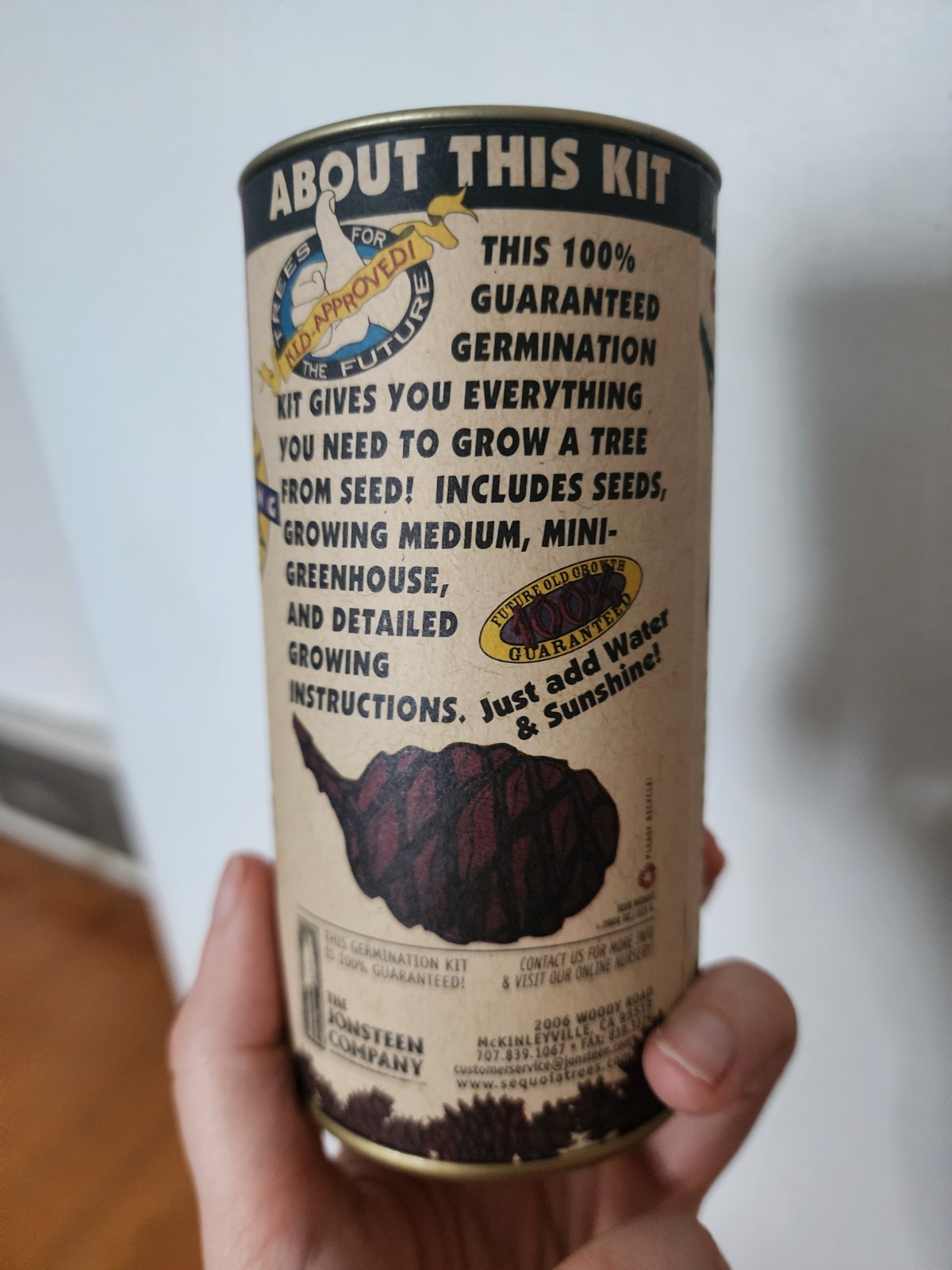 The Jonsteen Company Giant Sequoia Tree Seeds Germination Kit Sequoiadendron