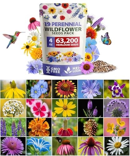 Bulk Wildflower Seeds 4oz – 63,200+ Non-GMO Perennial Mix, Attract Bees & Butter