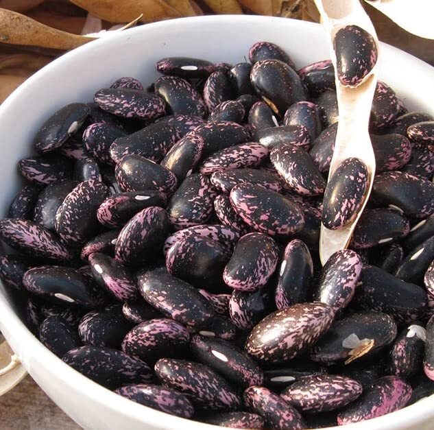Scarlet Emperor Runner Bean Seeds for Planting (20 Seeds) – Delicious and Easy t