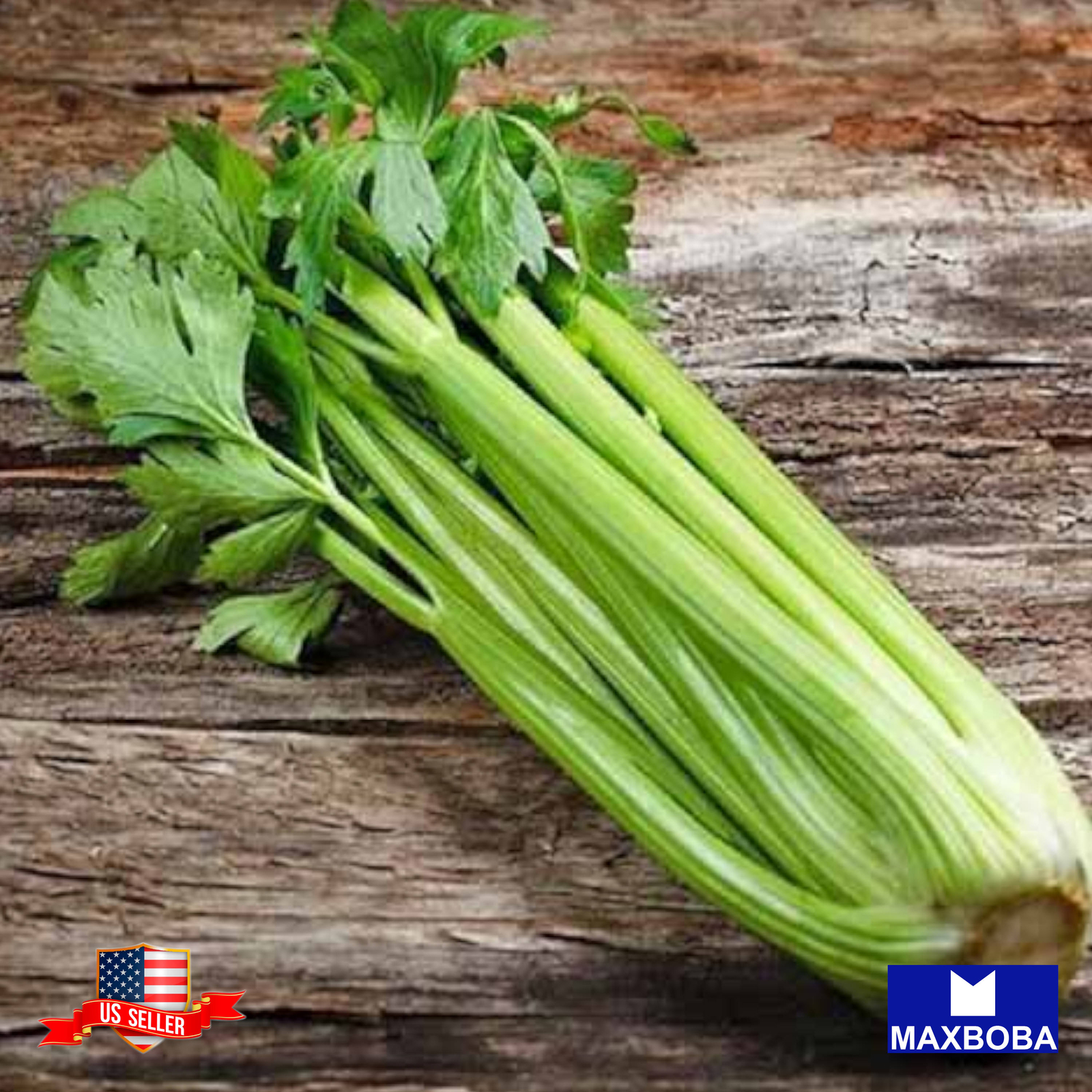 1250+ Giant Golden Pascal Celery Seeds Heirloom Vegetable Non-GMO BTGO 75% OFF
