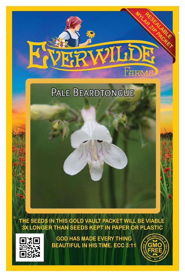 500 Pale Beardtongue Wildflower Seeds – Everwilde Farms Mylar Seed Packet