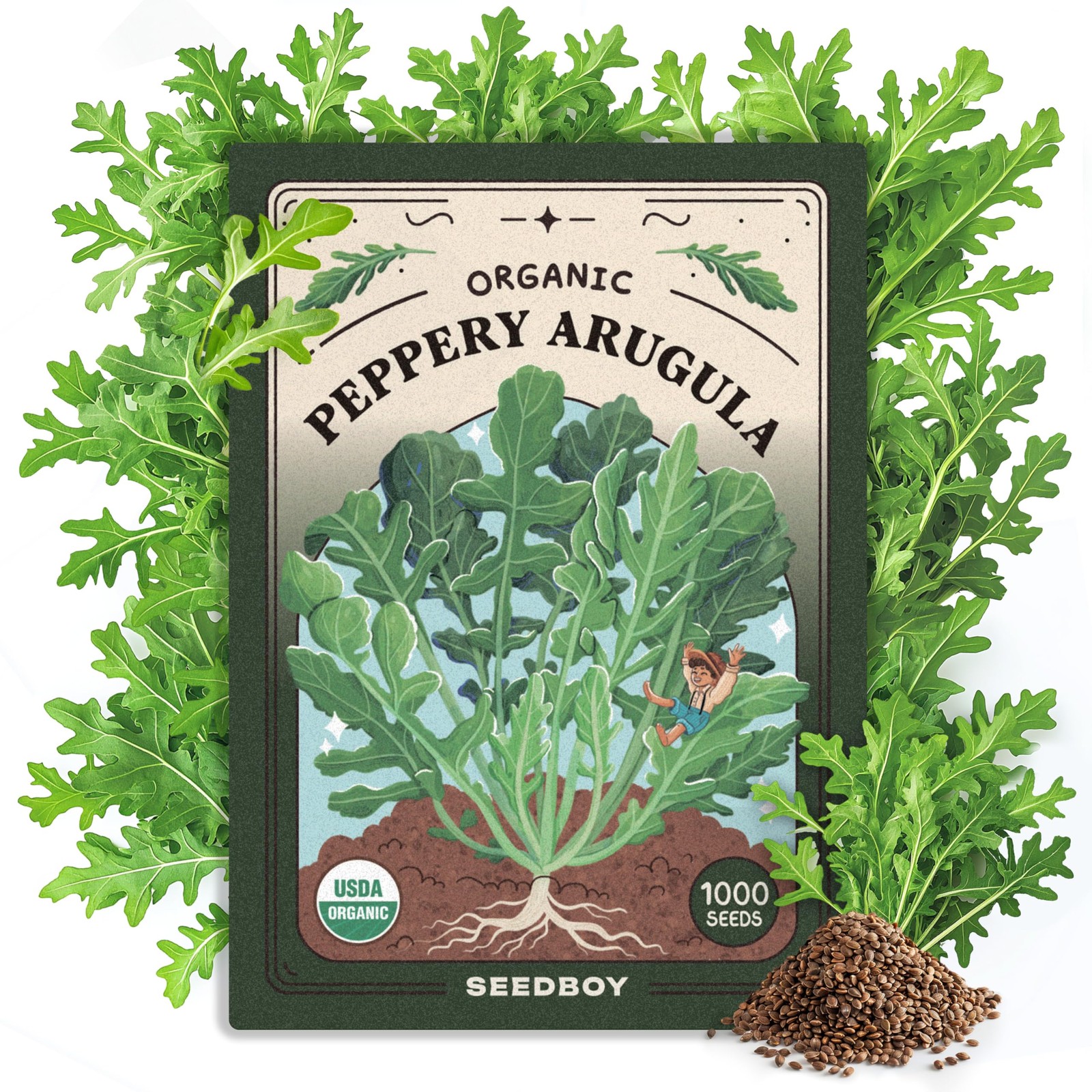 Seedboy Organic Arugula ‘Slow Bolt’ Seeds for Planting Indoor and Outdoor, No…