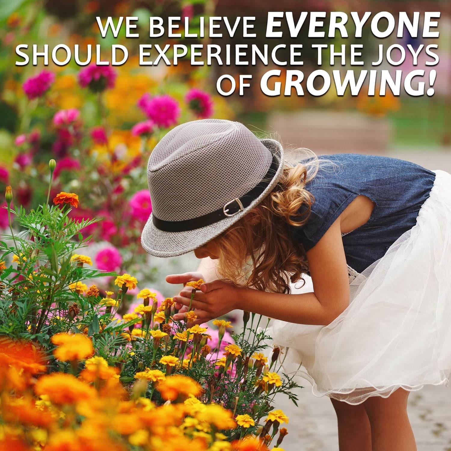100,000+ Heirloom Wildflower Seeds – Save The Monarchs for Vibrant Gardens