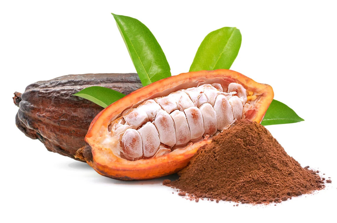 Cacao Tree Seeds for Planting Wet Cocoa Seeds Rare, Exotic Cacao Tree Seeds