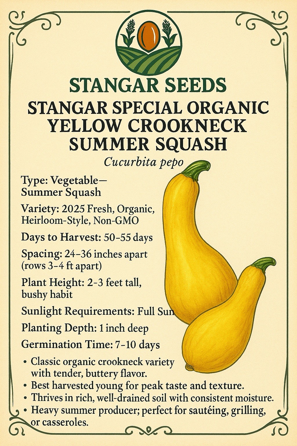 Stangar Special Organic Yellow Crookneck Summer Squash 2026 USA