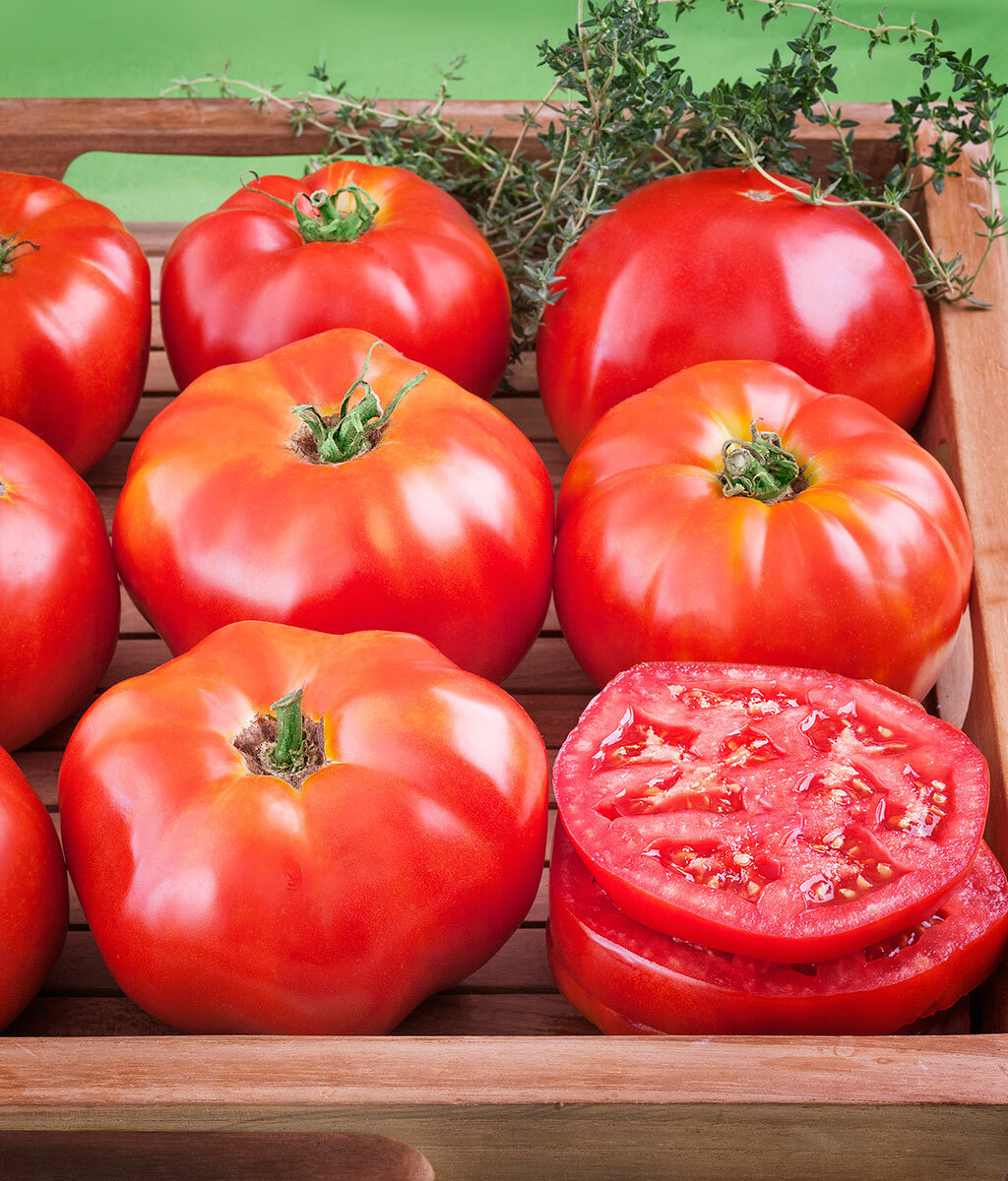 HEIRLOOM SALAD GARDEN SEEDS lettuce, spinach, tomato, radish, zuke NON-GMO!