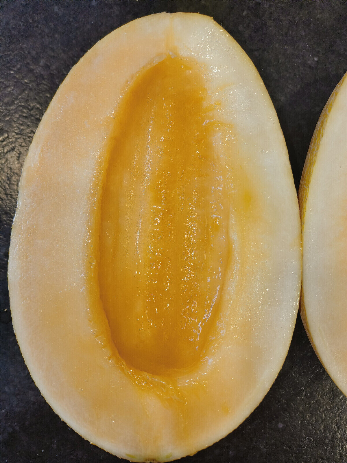 25 F1 Gold Hami Melon Seeds – Giant 10 Pound Super Sweet Hybrid Melon