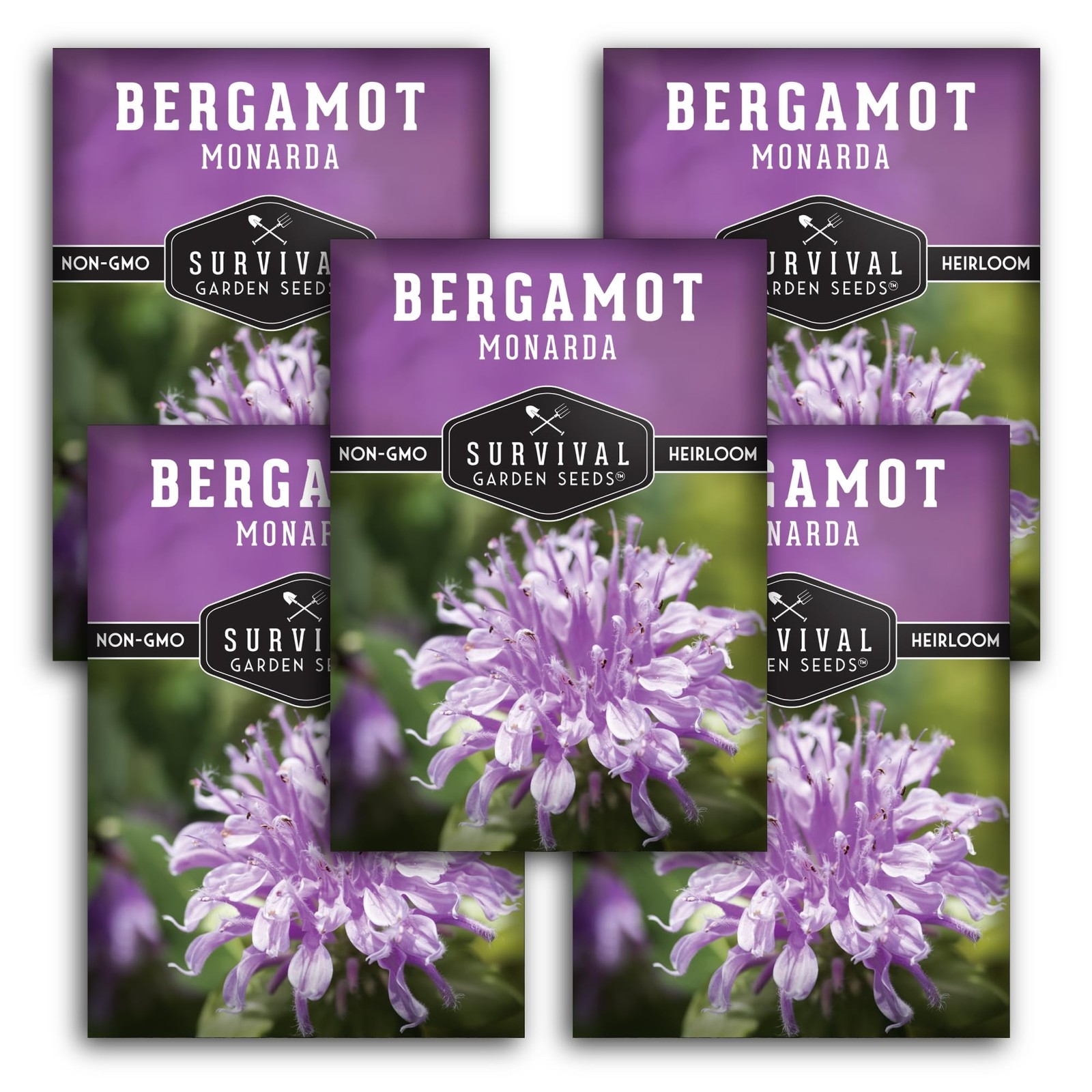 Bergamot Seeds for Pollinator Gardens Heirloom Wildflower & Medicinal Herb