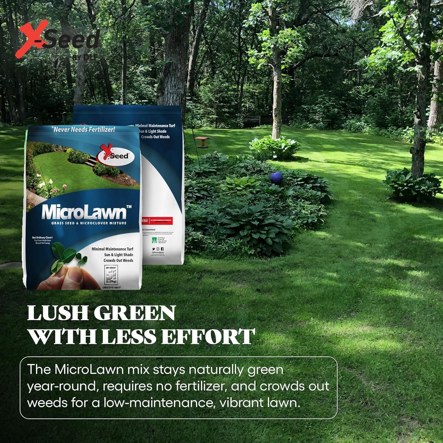 Instant Germination Microlawn Grass & Microclover – Ideal for Quick Coverage