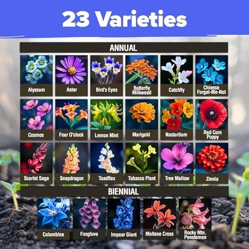 Premium Wildflower Seeds Bulk – 134,000+ Non-GMO Native Seeds for Butterfly Gard