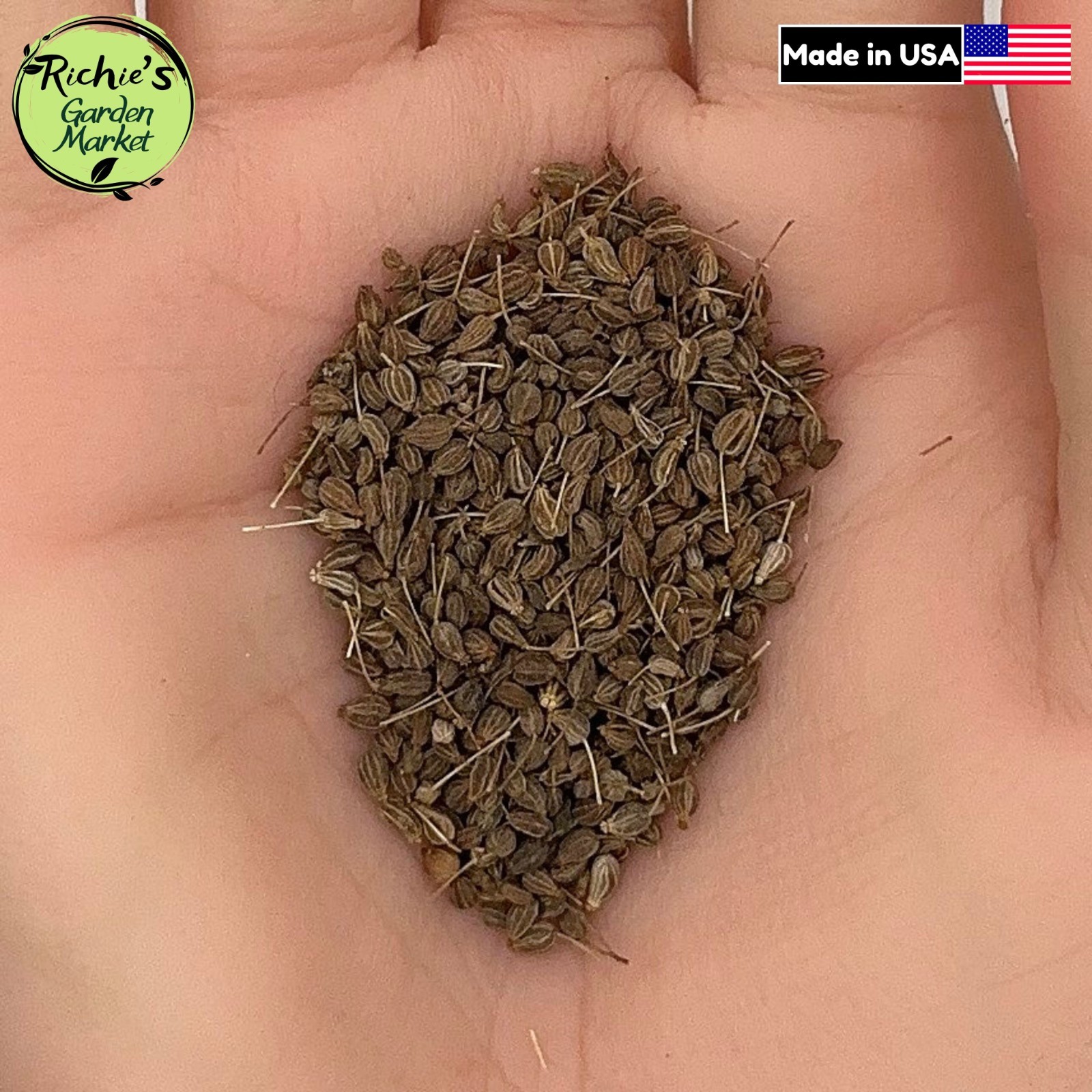 Anise Seeds, Heirloom Organic, Non-GMO, Medicinal, Culinary Herb, Free Shipping